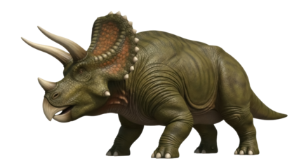 Isolated Triceratops realistic dinosaur model showing prehistoric herbivore creature