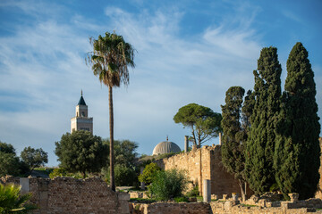 Obraz premium Colline de l'odéon et parc des villas romaines de Carthage