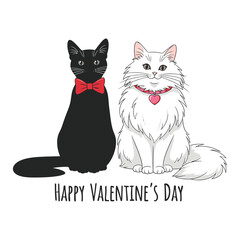 Obraz premium Valentines day illustration of a black cat and white cat wearing red accessories