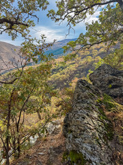 Mossy rocks and oak branches frame a scenic view of the autumn valley and distant peaks along the Vereda de la Estrella, highlighting the natural beauty of the Sierra Nevada mountain range in Spain.