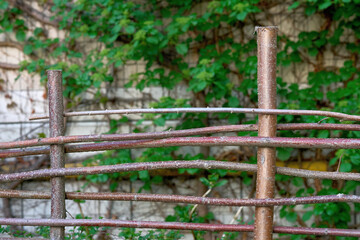 Hedge fence made of branches and cuttings with green leaves