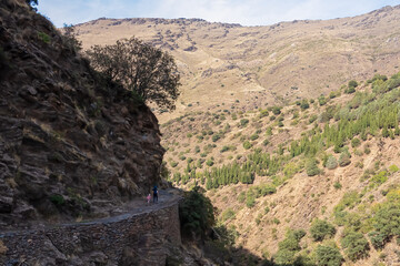 A mother with a baby carrier hikes with her children on the historic stone path of Vereda de la Estrella, traversing steep dry slopes in the Sierra Nevada National Park near Granada in Spain.