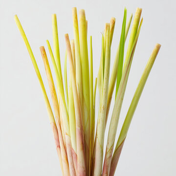 AI-generated image - A fresh, vibrant bunch of green lemongrass stalks (Cymbopogon citratus) isolated on a white background. 