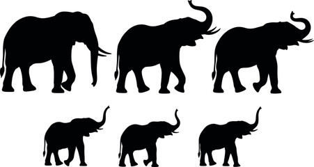 Black Elephant Silhouette Set with African Wildlife Elements for Safari Design Nature Vector Illustration Isolated on White Background for Commercial Use © DALIARA 