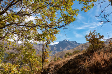 Oak branches with turning leaves hang over the Vereda de la Estrella path, revealing a stunning view of La Alcazaba peak in the Sierra Nevada mountain range of Granada province, Andalusia, Spain.