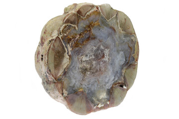 cut in half thunderegg from Buchanan, Oregon, USA isolated on white background