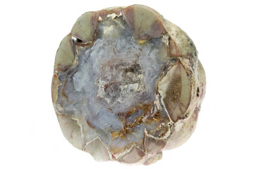 cut in half thunderegg from Buchanan, Oregon, USA isolated on white background