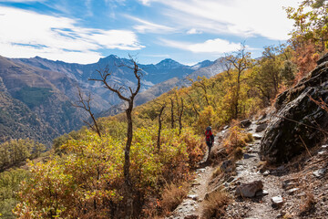 Hiker walking on a rocky mountain path passes a dead tree while overlooking a vast valley filled with autumn colors on the scenic Vereda de la Estrella route in Sierra Nevada, Andalusia, Spain.