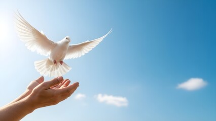 White Dove Flying in Blue Sky Symbolizing World Peace and Freedom