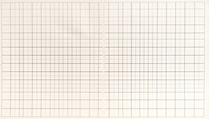   
Crumpled graph paper with evenly spaced grid of horizontal and vertical lines, textured surface.