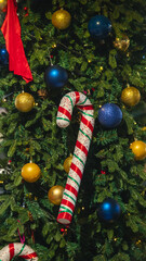 Christmas candy cane ornament on decorated Christmas tree