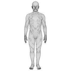 Obraz premium Abstract wireframe representation of a human body, showcasing digital anatomy and technology in science.
