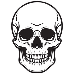 Fototapeta premium human skull vector illustration