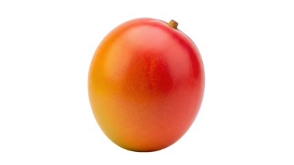 Isolated ripe mango fruit close-up studio shot healthy eating tropical flavor summertime exotic