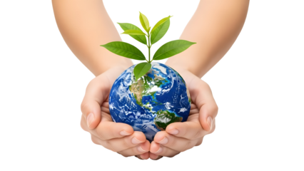 Hands cradling the Earth with a sprouting plant, symbolizing environmental care and conservation