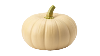 Isolated, seasonal gourd, an albino pumpkin with an unusual cream color and ribbed texture.