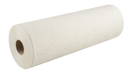 Isolated embossed roll of absorbent household paper, ready for cleaning spills and general use