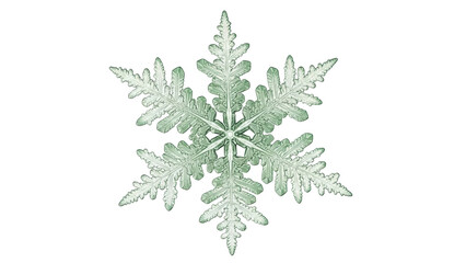 Isolated icy snowflake macro, a winter element of seasonal holiday greetings, a nature motif © Aino