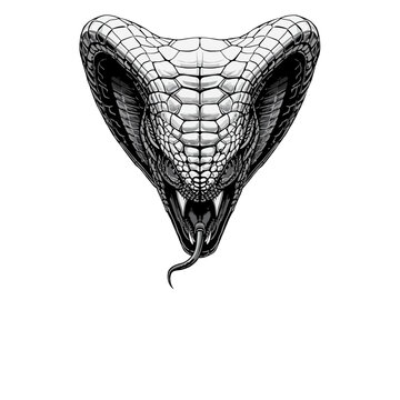 Evil Snake Design Very Cool
