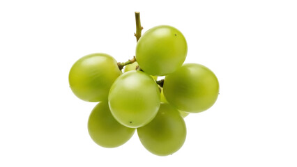 Isolated cluster of fresh green grapes, juicy and ready for consumption in autumn time