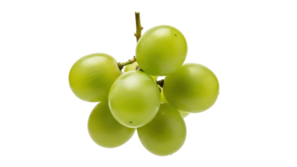 Isolated cluster of fresh green grapes, juicy and ready for consumption in autumn time