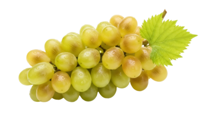 Isolated bunch of grapes with leaf, fresh sweet fruit, vibrant color, nature's bounty