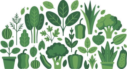 Create a Group of different green plants and vegetables vector art with white background.