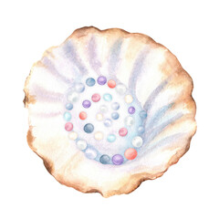 A large open shell with mother-of-pearl and multicolored pearls. Underwater world clipart. Seashells. Hand-drawn watercolor illustration for ocean-themed design, postcards, stickers, posters, covers