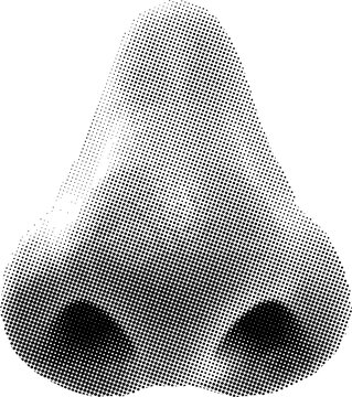 Retro halftone collage nose for mixed media design. Human nose in halftone texture, dotted pop art style. Vector illustration of vintage grunge punk crazy art