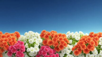 Vibrant floral wallpaper enhances digital display high definition floral backgrounds offer vivid screen imagery