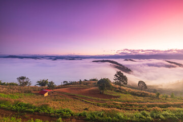 Landscape sea of mist  in the  morning on high mountain Chiang Mai  province Thailand.