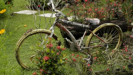 Fototapete Rund Fahrrad An Old, Weathered Bicycle Is Being Used As A Decorative Garden.  © AsralDarrenz