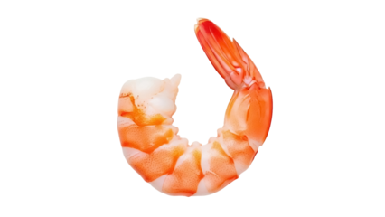 Isolated cooked shrimp or prawn, ready to eat for delicious seafood dishes, appetizer