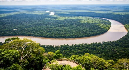 Aerial View of Winding River Through Lush Green Amazon Rainforest Landscape.