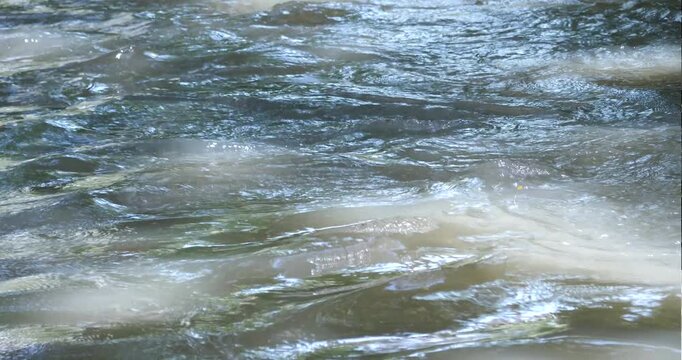slightly murky river water flows