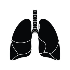 a simplified black and white illustration depicting the human respiratory system showing lungs and trachea a vital organ for breathing