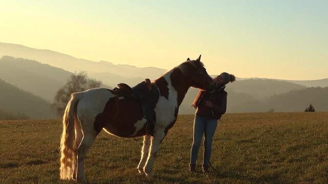 Young woman gently cuddling and interacting with her pinto Haflinger mix mare, emotional bond and trust at sunset