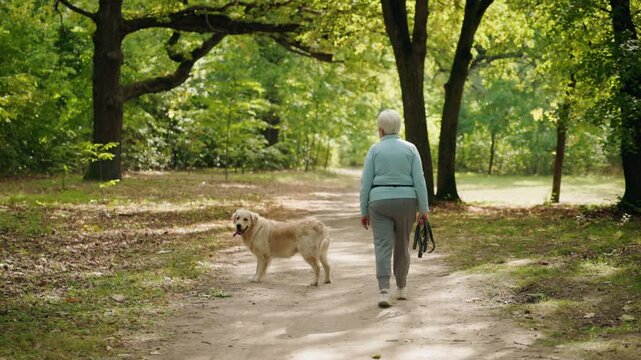 Elderly woman walking away along a forest path while her dog moves beside her during a quiet park walk