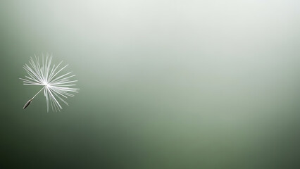 A single delicate dandelion seed floats gracefully against a soft, blurred green gradient background, symbolizing lightness and new beginnings.