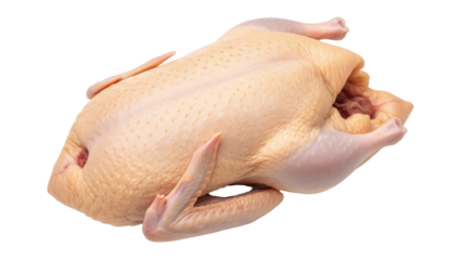 Isolated raw whole duck carcass for roast recipe, festive holiday bird, cooking at home