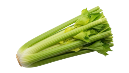 Isolated fresh celery stalk bundle for healthy eating and raw ingredient cooking project