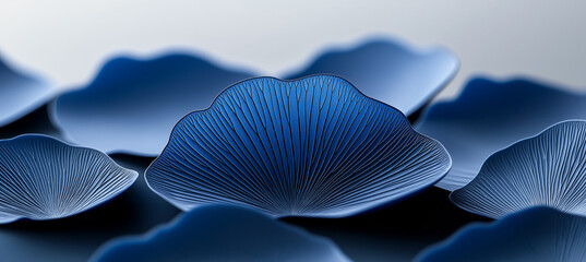 Blue abstract floral petals background art beautiful blossom