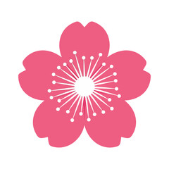 a simple stylized illustration of a single pink cherry blossom flower with delicate white stamen details isolated on a clean white