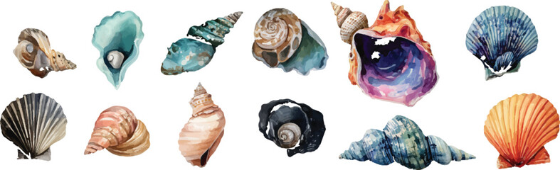 set of colorful shell © Abu