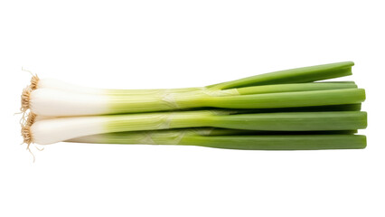 Isolated bunch of green onions or scallions aligned horizontally, fresh from the garden