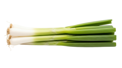 Isolated bunch of green onions or scallions aligned horizontally, fresh from the garden