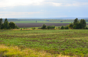 Expansive Rural Landscape with agricultural Fields and Distant Horizon copy space