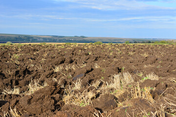 a close up of Freshly Plowed Field Under a Clear Blue Sky low angle view