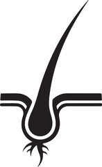 Silhouette hair follicle medical anatomy vector illustration