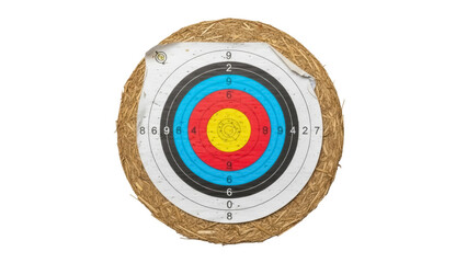 Isolated round archery target surrounded by hay against a plain backdrop, archery range